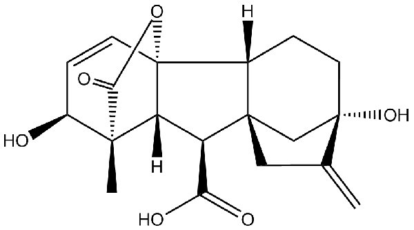 赤霉素GIBBERELLIC ACID，居然有這么神奇？